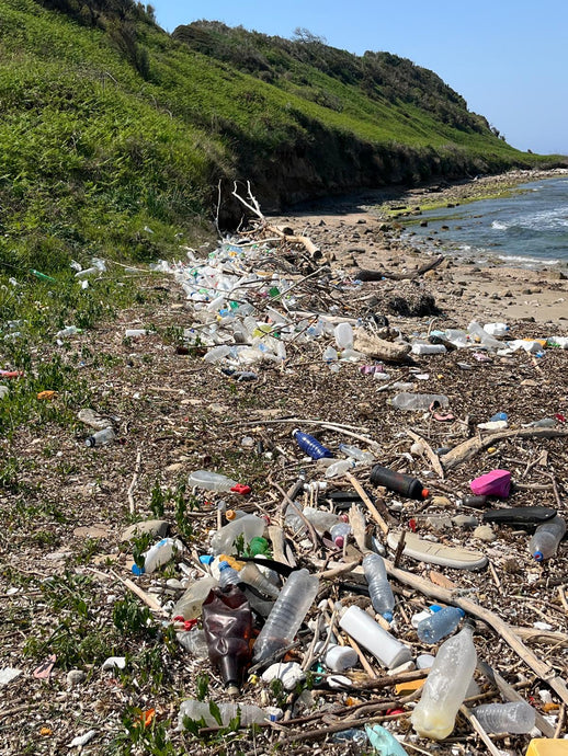 Waste: The Forgotten Environmental Disaster
