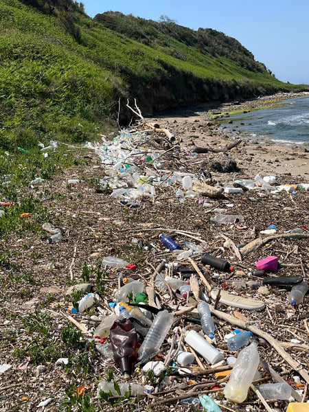 Waste: The Forgotten Environmental Disaster