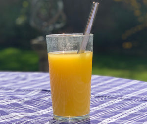Stainless Steel Straw Reusable - Smoothie